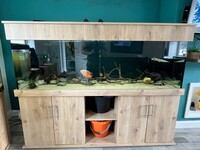 ND Aquatics Aquarium built March 2023 equipment included & Fluval Vicenza 180