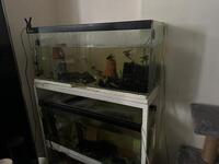 Fish tanks