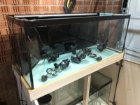 Marine tank and sump