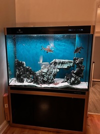 4ft aquarium with sump