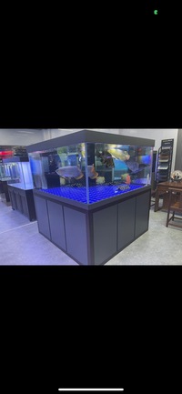 PLANET AROWANA PREMIUM AQUARIUMS - TROPICAL & MARINE TANKS