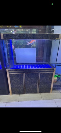 PLANET AROWANA PREMIUM AQUARIUMS - TROPICAL & MARINE TANKS