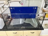 Evolution Aqua tank for sale.