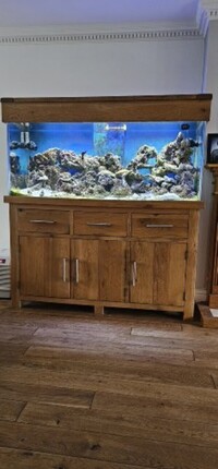 Maidenhead aquatics 5ft x 2ft x 2ft marine tank with sump & solid oak cabinet