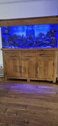 Maidenhead aquatics 5ft x 2ft x 2ft marine tank with sump & solid oak cabinet