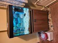 Roma Cabinet / tank