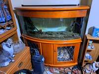 Large Tank and cabinet