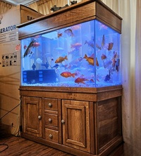 Stunning 600L Oak Aquarium with Fish, High-End Equipment, and Accessories £1000 ONO