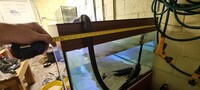 8 x 3 x 20in fish tank and fish