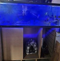 Fishtank and stand 4 foot