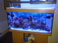 Juwel RIO 360 Marine Tank