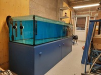 8ft x 2.5ft x 2.5ft tank and full set up for sale £1,200