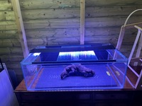 Fish tank 127 litres