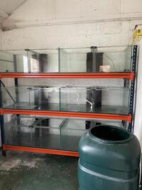 Large Aquaroum rack for sale