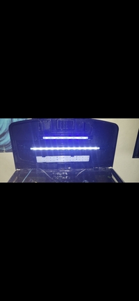 Tropical fish for sale plecos Corys guppys tetras etc