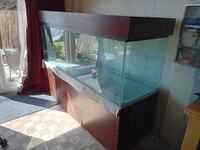 6 X 2 Large fishtank & Cabinet