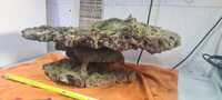 25kg-Fiji Pukani Rock Shelf-Extra Large + stand seeded and still Wet