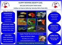 Guppy Keepers Society Open Show