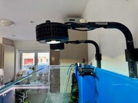 2 x Kessil A360X Tuna Sun, WIFI Dongle, 2 x mounting arm and k link
