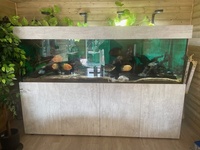 8.5 x 2.5 x 2.5 Aquariums 4 life