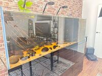 Large Rimless Tank
