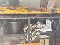 Large Rimless Tank