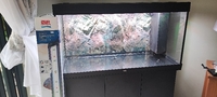 For sale a complete set up