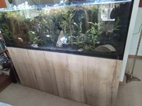 Ex marine tank for sale