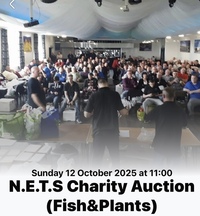 NETS charity auction
