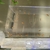 Platy fry for free