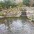 Aquarium and Pond maintenance