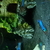 Japan Blue Endlers for sale