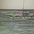 Xl submarine Ornament