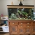 4 x 2 x 1.5 fish tank with 3d background
