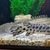 QUALITY LARGE GARS FOR SALE