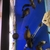 F1 Tropheus Kasange Red Rainbow Moorii x12 adults 3 young