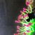 Fluval Sea Evo 52L, PS2 Skimmer.