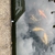 Koi, Goldfish and Bioforce Filter for Sale