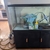 Aquarium, cabinet and equipment