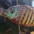 Central & South American Cichlids for sale