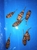 Mbu puffers Mbu puffers Mbu puffers Mbu puffers
