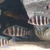 cyphotilapia frontosa Kigoma fry