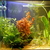 RENA “Aqualife” Cube 100 litre £60
