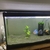 Full tropical aquarium setup