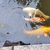 Koi Carp & others for sale Wirral