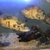 Female oscar cichlid and a breeding paid