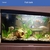 60liters tank