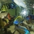 Malawi cichlids various sizes 1inch to 6 inch