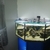 4ftx4ft octagonal fishtank with stand shop quality