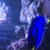 1000L marine tank shutdown